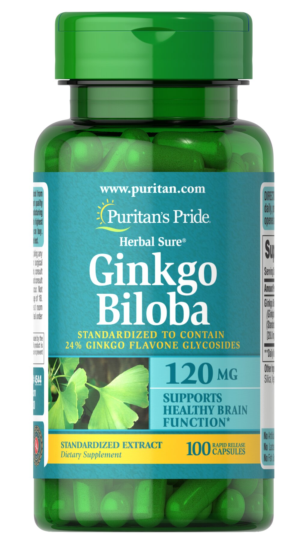 Ginkgo Biloba 120mg